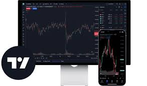TradingView Premium Plan 1 Month